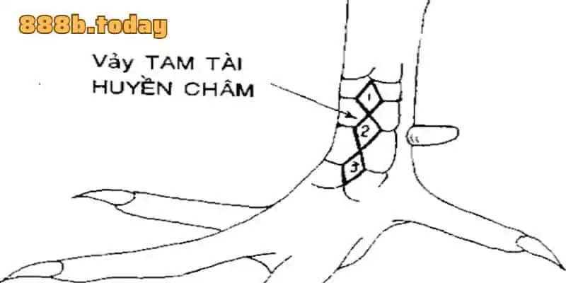 Vảy gà chọi Huyền Châm