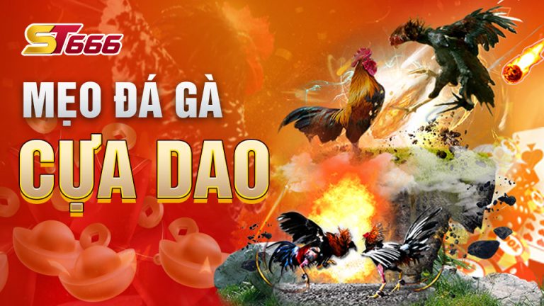 [Bật mí] Mẹo Đá Gà Cựa Dao dễ ăn đứt đối thủ