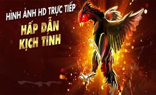 Những điểm nổi bật của đá gà New88 