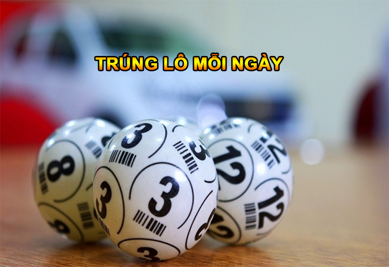 Sơ bộ về trung lô mỗi ngày thế nào